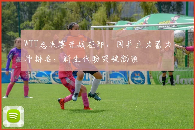 WTT总决赛开战在即，国乒主力蓄力冲排名，新生代盼突破瓶颈