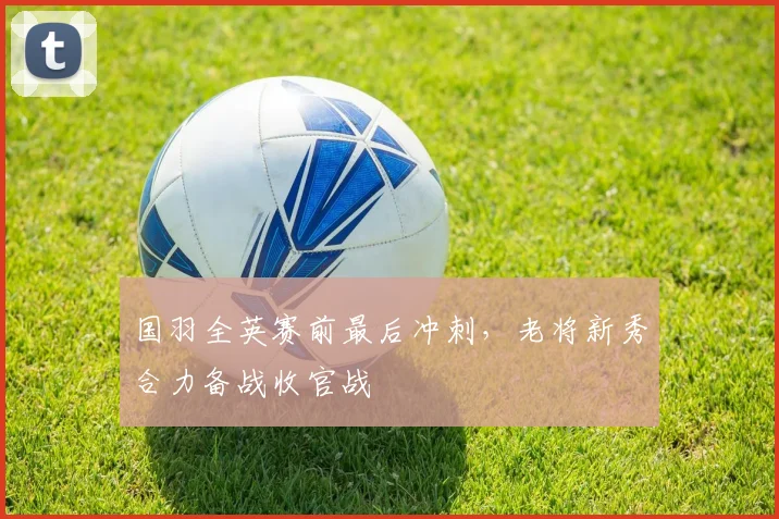 国羽全英赛前最后冲刺，老将新秀合力备战收官战 - 爱游戏