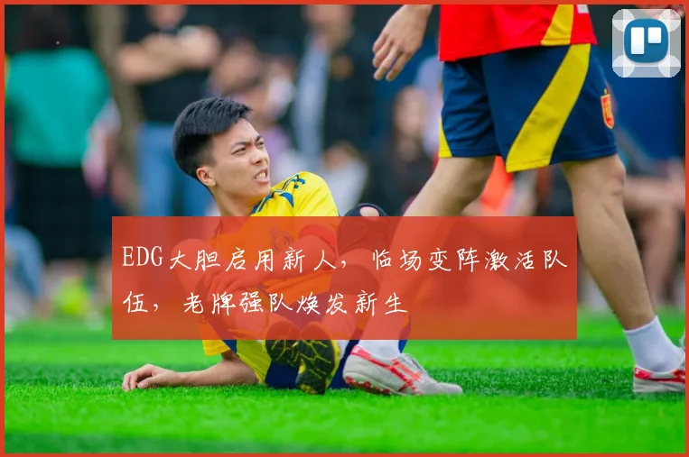 EDG大胆启用新人，临场变阵激活队伍，老牌强队焕发新生